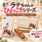 愛犬の写真から「うちの子グッズ」を作ってみました｜ひょっこりデザインを3つのアイテムに